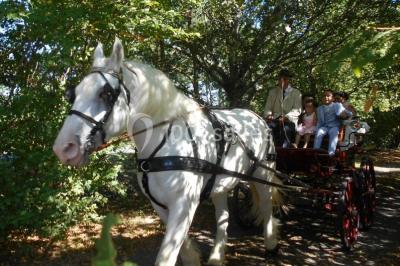 Location salle Clouzeaux (Vendée) - Domaine De La Gautronnière #23