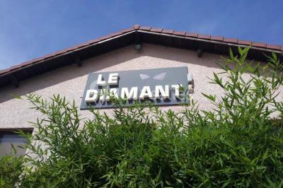 Location salle Villette-d'Anthon (Isère) - Le Diamant #13