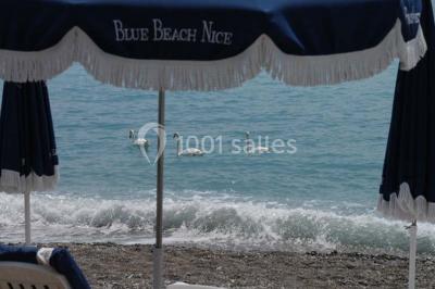 Location salle Nice (Alpes-Maritimes) - Blue Beach #23