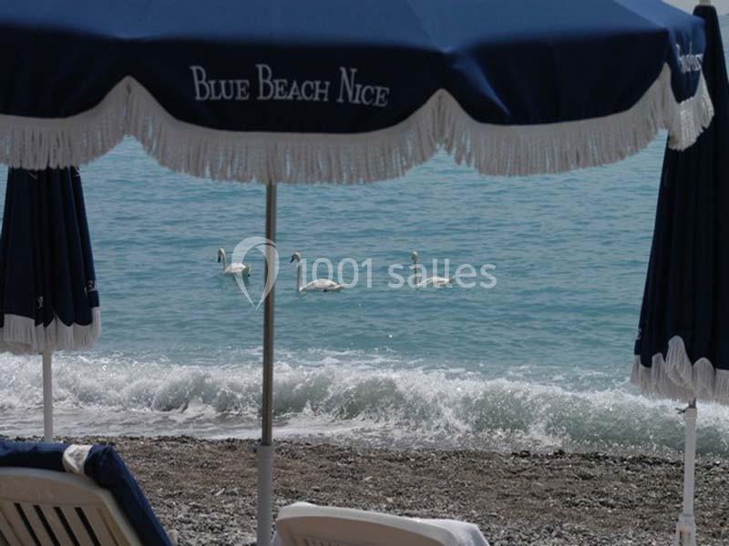 Location salle Nice (Alpes-Maritimes) - Blue Beach #23