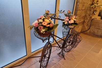 Chaises blanches disposées en rangées sur une pelouse, face à une petite scène décorée pour un événement en plein air.