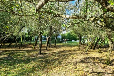 Chaises blanches disposées en rangées sur une pelouse, face à une petite scène décorée pour un événement en plein air.