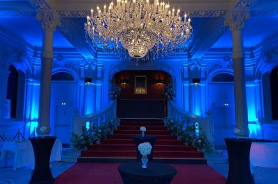 Branches d'arbre avec des feuilles vertes devant une façade en pierre ornée de grandes fenêtres.