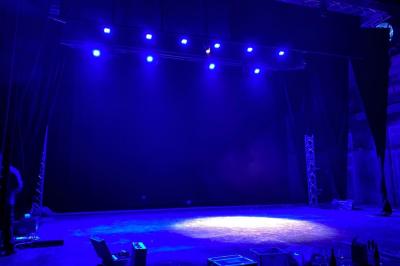 Branches d'arbre avec des feuilles vertes devant une façade en pierre ornée de grandes fenêtres.