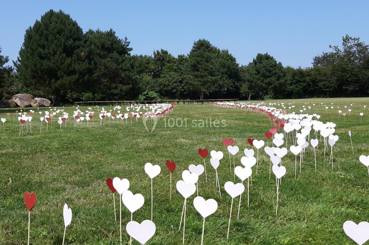 Cœurs blancs et rouges en papier plantés sur une pelouse, formant un chemin sinueux sous un ciel dégagé.