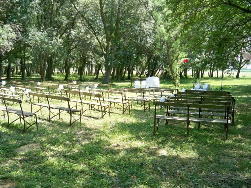 Bancs en bois alignés en extérieur dans une clairière ombragée, préparés pour un événement en plein air.