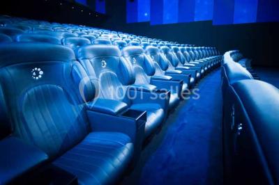 Location salle Brignais (Rhône) - Cgr - Lyon Brignais #16