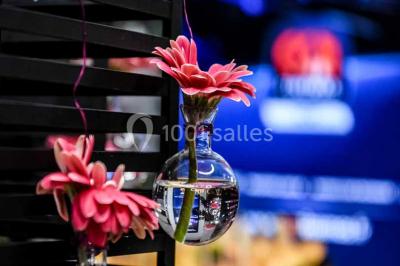 Location salle Niort (Deux-Sèvres) - Cgr - Niort #16