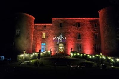 Façade d'un château éclairée en rouge et orange la nuit, entourée de buissons illuminés.
