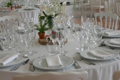 Château éclairé sous un ciel nocturne avec une pleine lune visible en arrière-plan.