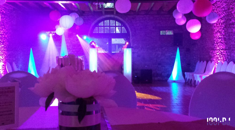 DJ Vallet (Loire-Atlantique) - FLY MUSIC Animation DJ Thierry #3