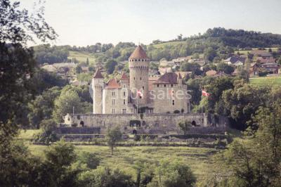 Location salle Lovagny (Haute-Savoie) - Château De Montrottier #15