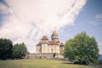 Location salle Lovagny (Haute-Savoie) - Château De Montrottier #15