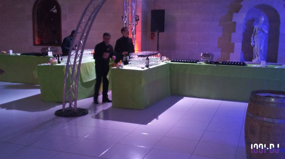 DJ Montauban (Tarn-et-Garonne) - A.E.S Antony Evénementiel & Service #16