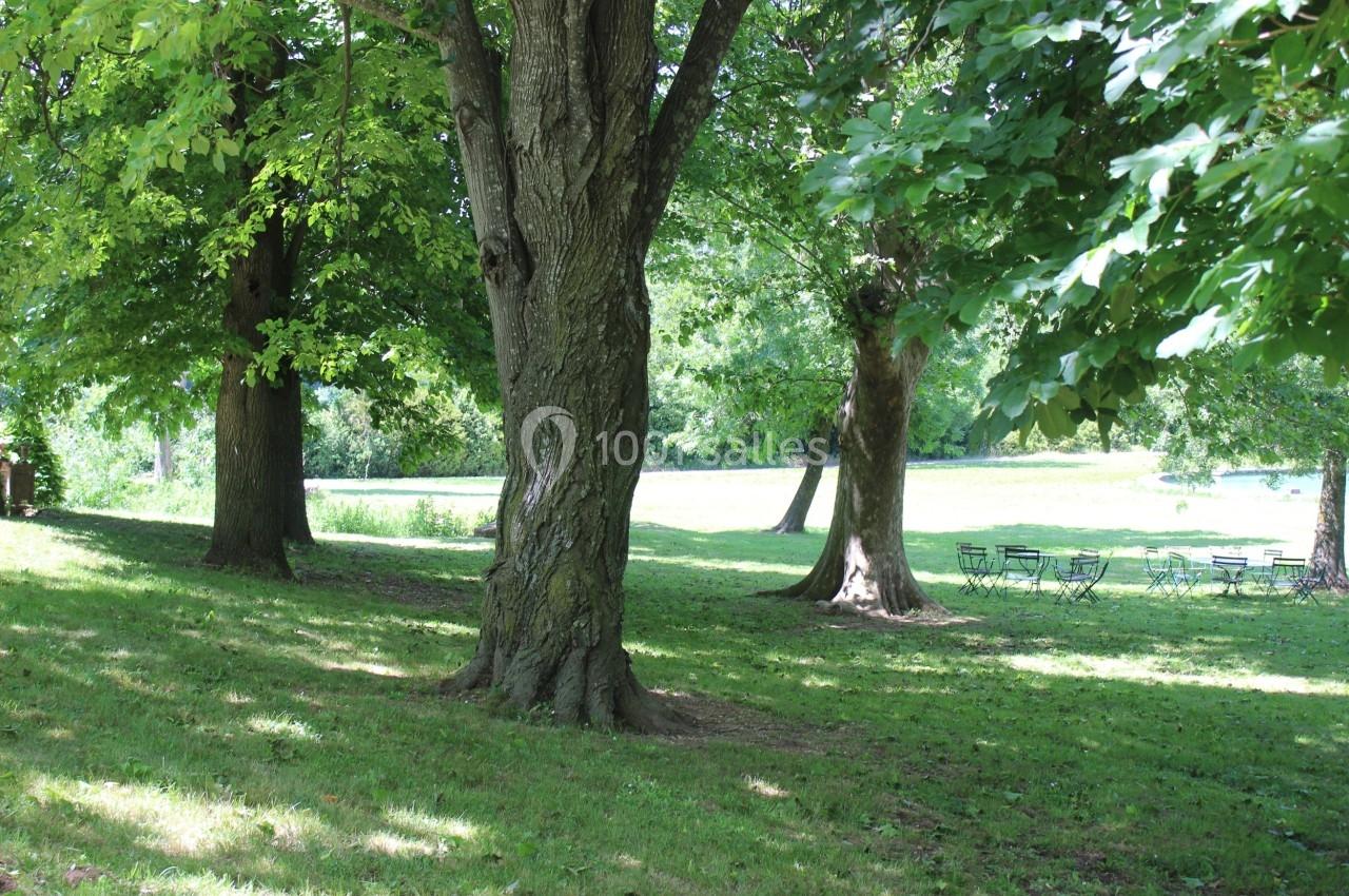 Arbres feuillus dans un parc ombragé avec des tables et des chaises en métal disposées sur l'herbe.