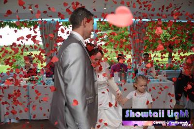 Des personnes dansent dans une salle sombre éclairée par des faisceaux lumineux colorés et des effets laser.