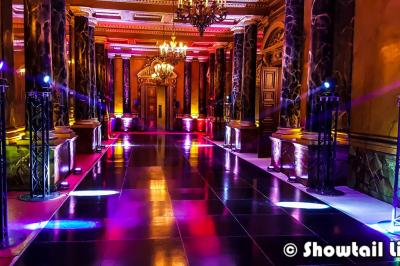 Showtail Light Showtail Light