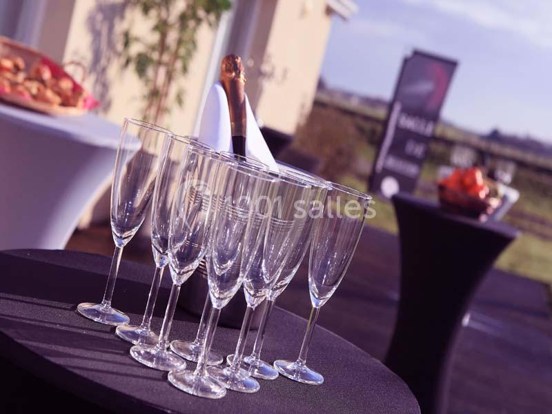 Location salle Baons-le-Comte (Seine-Maritime) - Domaine De L'aérodrome #3