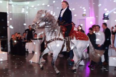 Miniature Location salle Villequier (Seine-Maritime) - Mise En Seine #16 Location salle Villequier (Seine-Maritime) - Mise En Seine #25