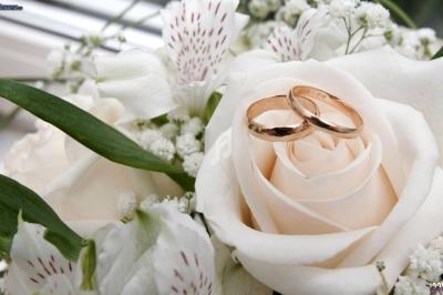 Deux alliances dorées posées sur une rose blanche entourée de fleurs et de feuillage.