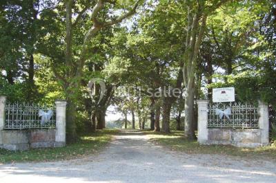 Miniature Location salle Saint-Lon-les-Mines (Landes) - Château De Monbet #2 Location salle Saint-Lon-les-Mines (Landes) - Château De Monbet #24