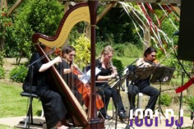Une violoncelliste joue lors d'une cérémonie dans une église, entourée d'invités debout et de mariés à l'arrière-plan.