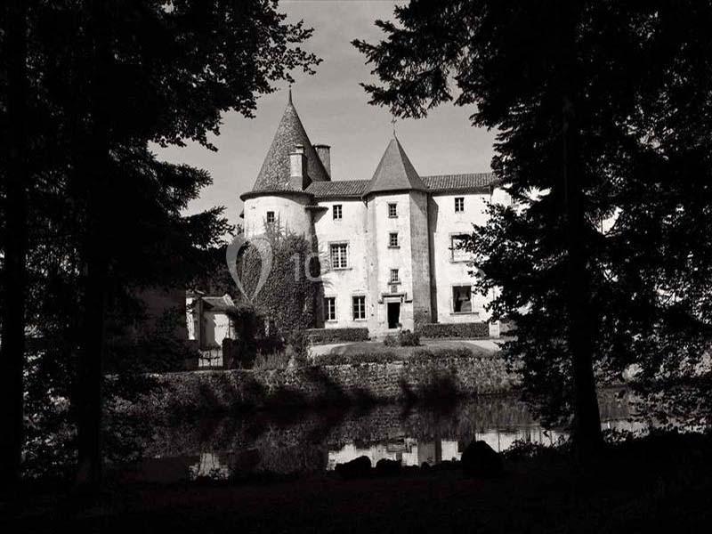 Location salle Saint-Dier-d'Auvergne (Puy-de-Dôme) - Château Des Martinanches #5