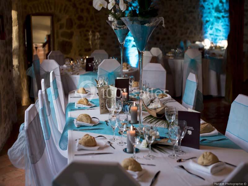 Location salle Saint-Dier-d'Auvergne (Puy-de-Dôme) - Château Des Martinanches #7