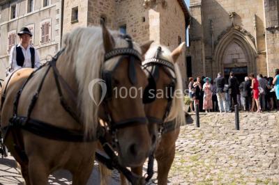 Location salle Saint-Dier-d'Auvergne (Puy-de-Dôme) - Château Des Martinanches #24