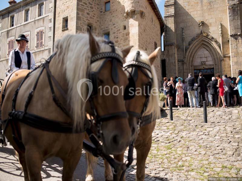 Location salle Saint-Dier-d'Auvergne (Puy-de-Dôme) - Château Des Martinanches #15