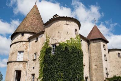 Location salle Saint-Dier-d'Auvergne (Puy-de-Dôme) - Château Des Martinanches #24
