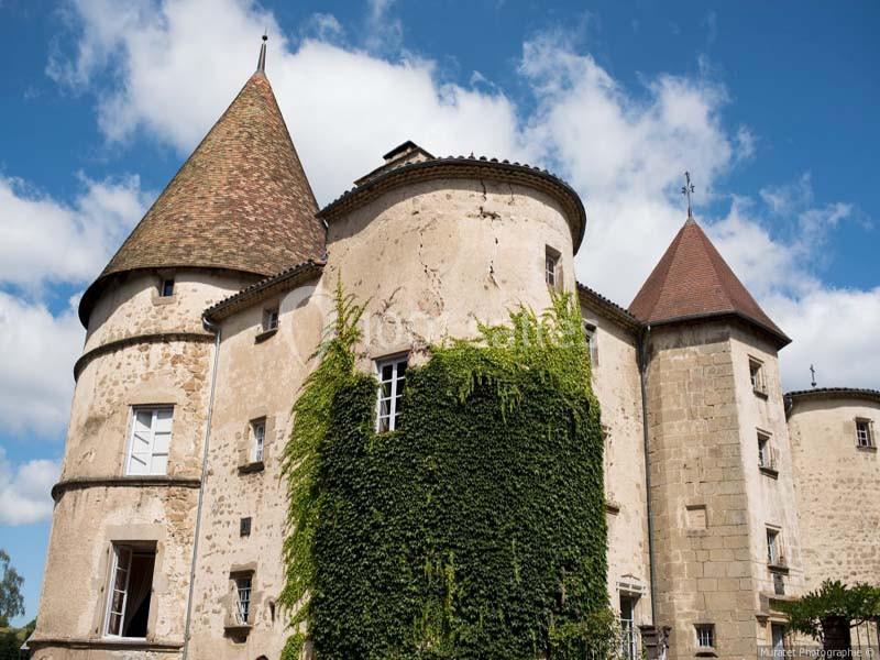 Location salle Saint-Dier-d'Auvergne (Puy-de-Dôme) - Château Des Martinanches #19