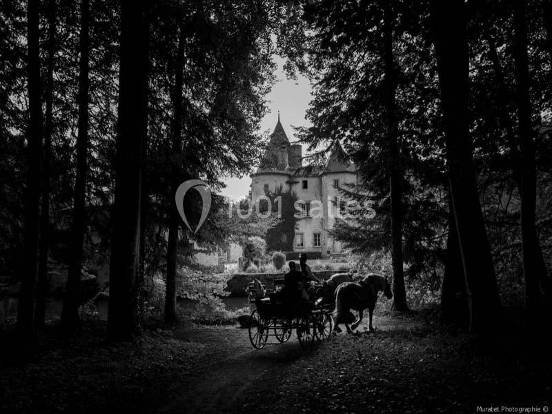 Location salle Saint-Dier-d'Auvergne (Puy-de-Dôme) - Château Des Martinanches #4