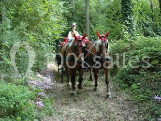 Location salle Rots (Calvados) - Château De Rôts #19