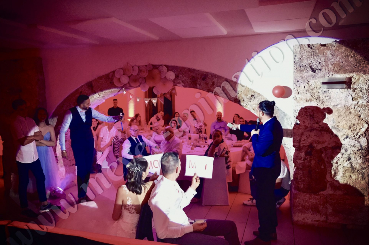 DJ Nice (Alpes-Maritimes) - Meyer Animation #5