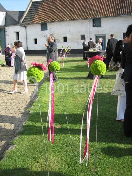 Location salle Court-Saint-Étienne (Brabant wallon) - Ferme de Beaurieux #18 Décoration de jardin avec boules de fleurs vertes et rubans roses, lors d'un événement en extérieur.