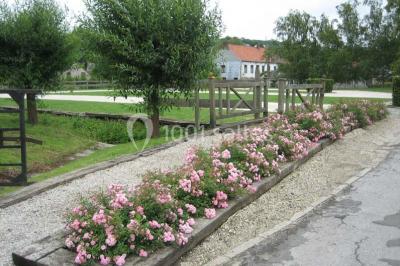 Paysage hivernal avec arbres dénudés, sol enneigé, clôture en bois et maisons en arrière-plan sous un ciel gris.