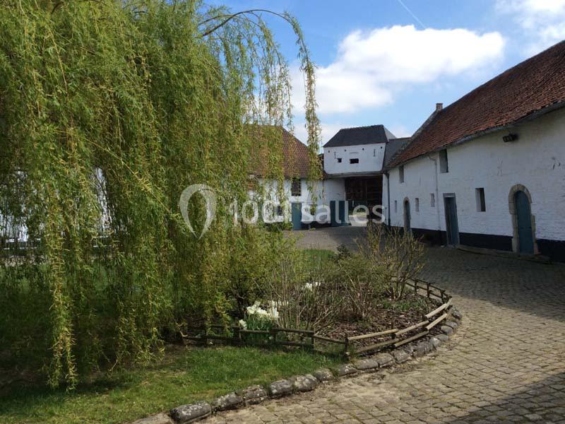 Cour pavée entourée de bâtiments blancs traditionnels avec un saule pleureur au premier plan.