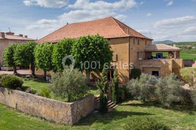 Bouteille de vin rouge posée sur une surface en pierre, avec des fleurs floues et un paysage en arrière-plan.