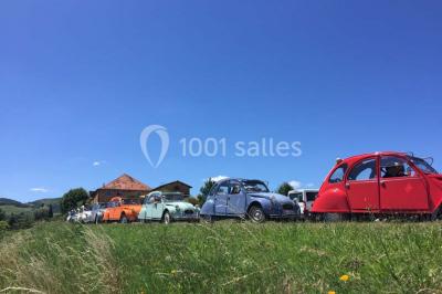 Bouteille de vin rouge posée sur une surface en pierre, avec des fleurs floues et un paysage en arrière-plan.