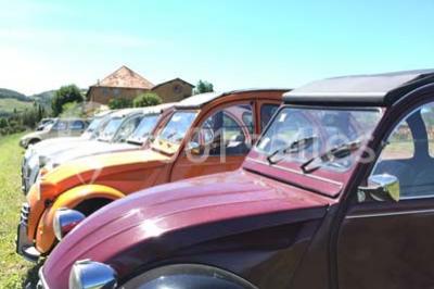 Bouteille de vin rouge posée sur une surface en pierre, avec des fleurs floues et un paysage en arrière-plan.