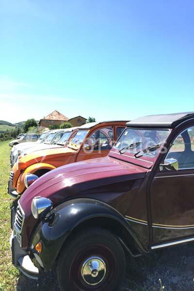 Alignement de plusieurs voitures anciennes colorées, garées sur une pelouse sous un ciel bleu.