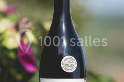 Bouteille de vin rouge posée sur une surface en pierre, avec des fleurs floues et un paysage en arrière-plan.