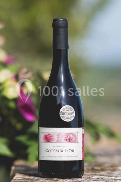 Bouteille de vin rouge posée sur une surface en pierre, avec des fleurs floues et un paysage en arrière-plan.