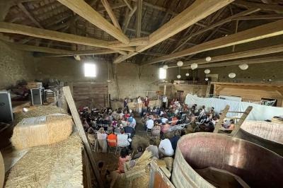 Bouteille de vin rouge posée sur une surface en pierre, avec des fleurs floues et un paysage en arrière-plan.