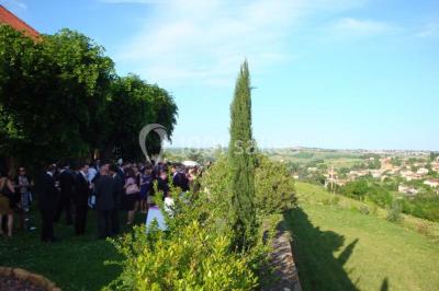 Bouteille de vin rouge posée sur une surface en pierre, avec des fleurs floues et un paysage en arrière-plan.