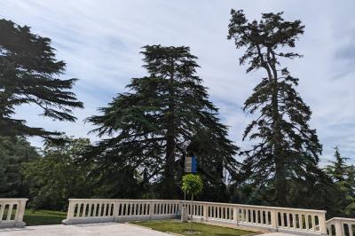 Salle élégante avec tables rondes dressées, chaises rouges et dorées, grand miroir doré et orchidées en décoration.