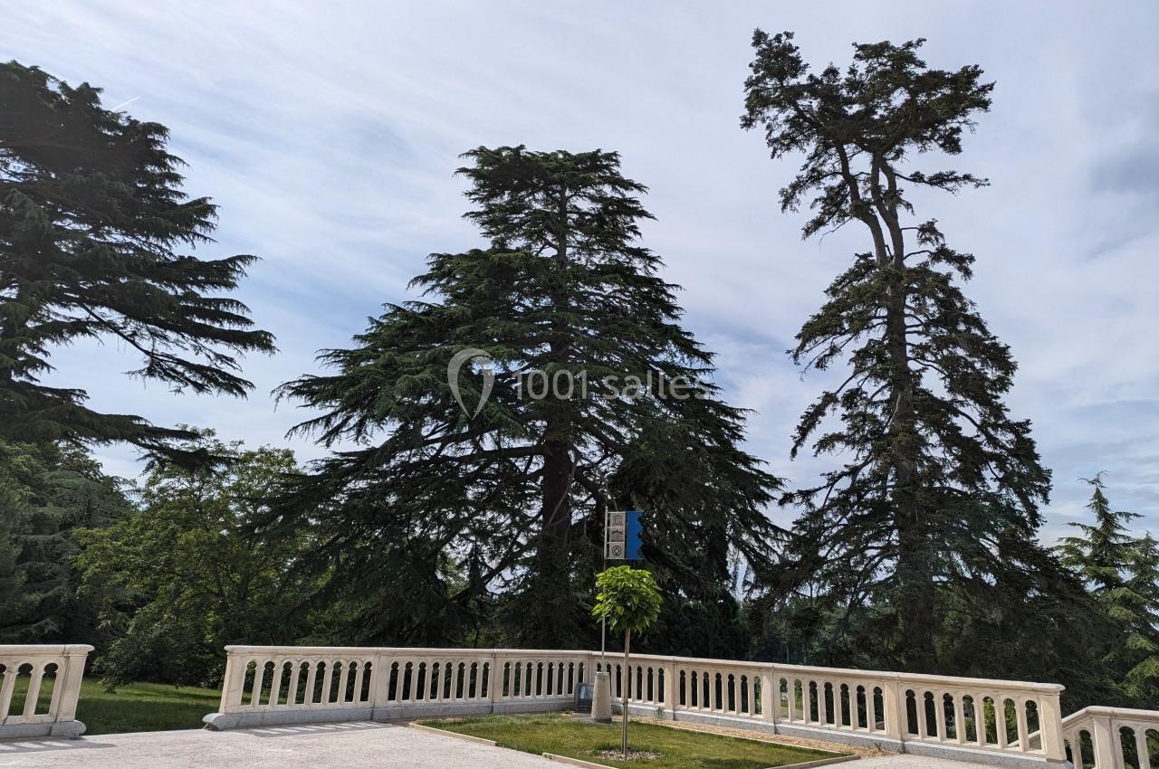 Terrasse en pierre bordée de balustrades, avec deux grands arbres et un ciel partiellement nuageux en arrière-plan.