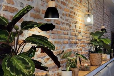 Location salle Gragnague (Haute-Garonne) - La Gragnaguette #8