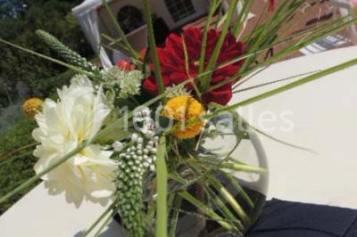 Location salle Maissemy (Aisne) - Domaine de Vadancourt #28